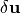 \delta \mathbf{u}