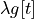 \lambda g[t]