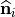 \widehat{\mathbf{n}}_i