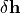\delta \mathbf{h}